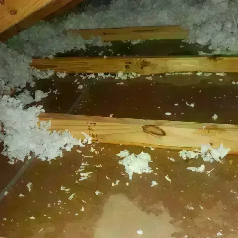 Attic Water Damage in Birchwood, MN