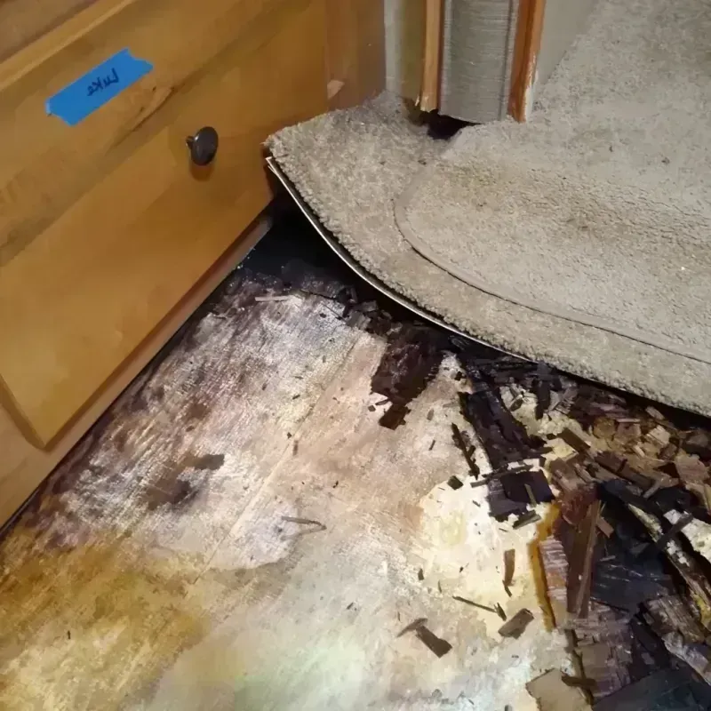 Best Wood Floor Water Damage Service in Birchwood, MN